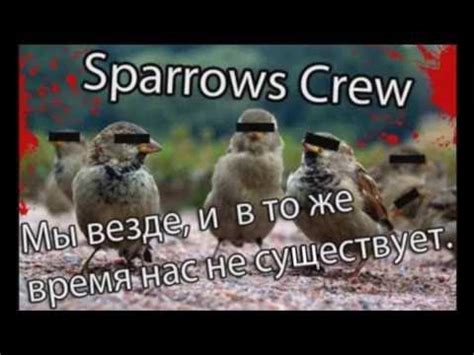 sparrows crew